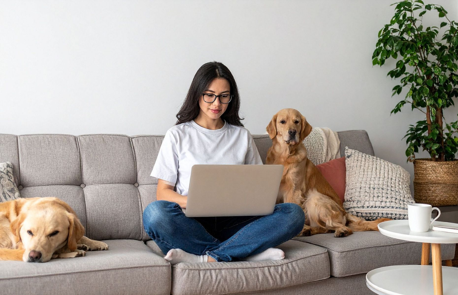 Pranie tapicerki meblowej - czy warto robić to samemu?
