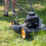 Jak skutecznie usunąć chwasty z trawnika bez niszczenia trawy?